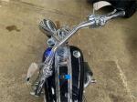 2009 HARLEY-DAVID SOFTAIL ROCKER CUSTOM ROAD FXCWC