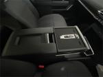 2025 LDV Terron 9 Utility Origin EKK1C